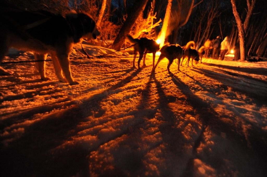 Neve e Fogo